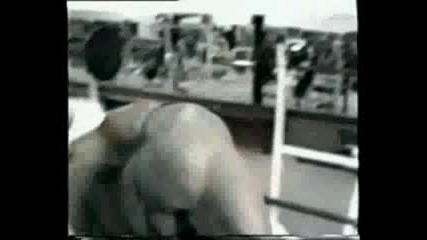 kevin Levrone 