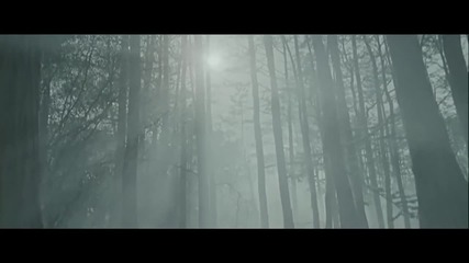 Dark Nebula- So Cold