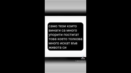 2024-11-19-145125273.mp4