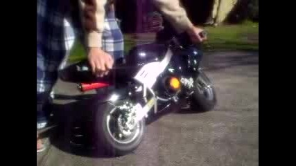 Pocket Bike