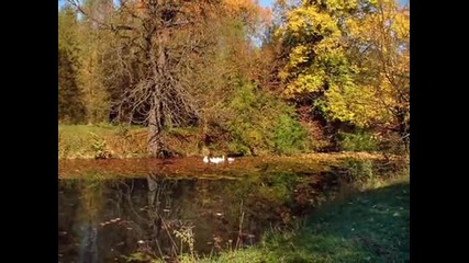 Анжелика Агурбаш- Останься