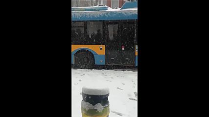 Снегът затрудни градския транспорт