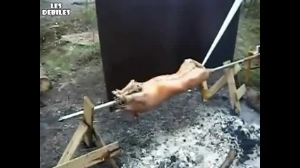 Тука е истината 