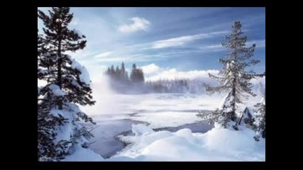 Winter Dreams Secret Garden - Cantoluna