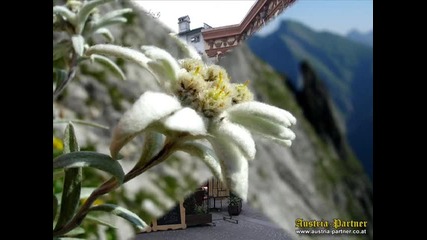 Austria