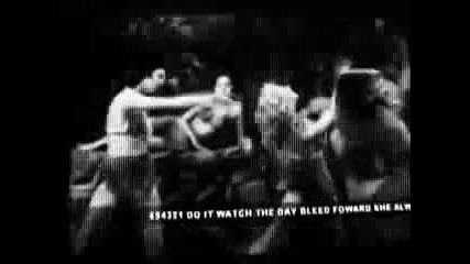 Awol One - Seeds Grow
