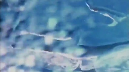 Aquarius - Feels Like Summer