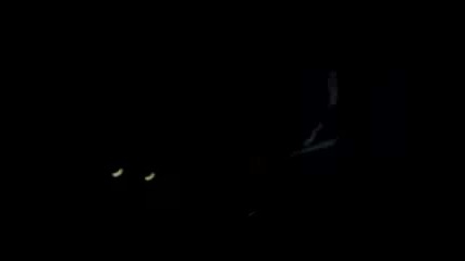 50 Cent - Hate Or Love It (live In Milano)