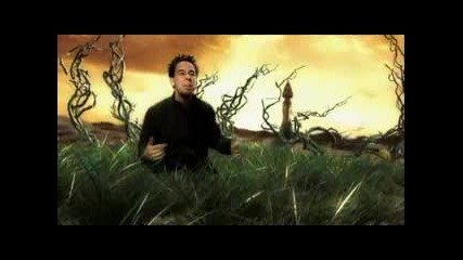 Linkin Park Videos (dvdrip)