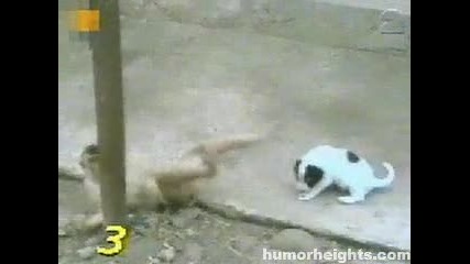 Какво търси там тази маймунка :d