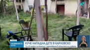 6-годишно дете е в много тежко състояние след нападение от голямо куче