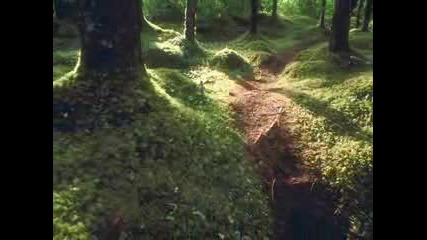 Soft Music And Nature