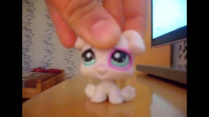 for lps_2004
