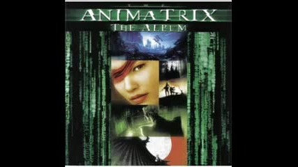 The Animatrix - Conga Fury