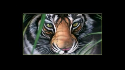 - Тигър направен от жени 