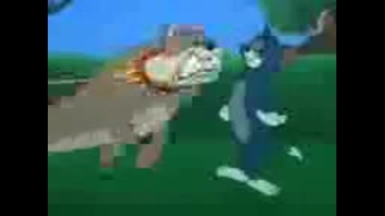Tom I Jerry Parodia 