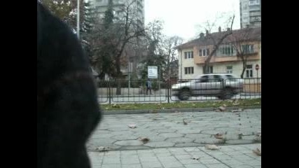 Тролейбусен Транспорт Плевен 
