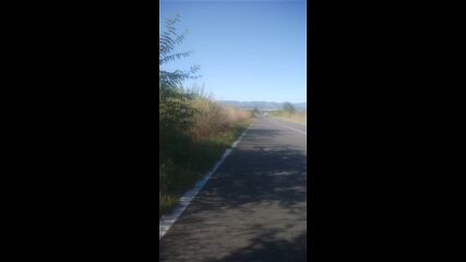 Vid_20230911_171518.mp4