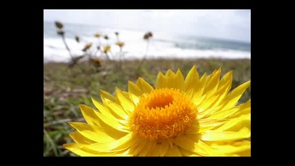 Solarstone - 4ever (Аlbum Mix)