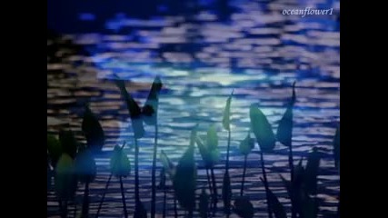 Marc Enfroy - Moonlit Dreams