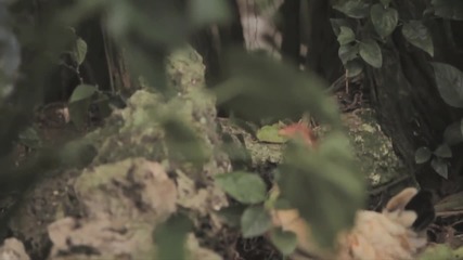 Santigold - Disparate Youth ( Официално видео )