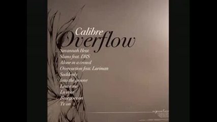 Calibre - Alone In A Crowd