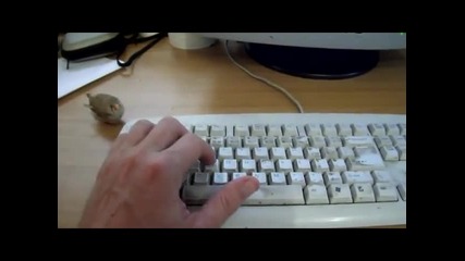 Сладко птиченце
