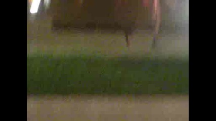 mis dobri4
