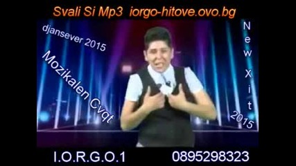 djansever 2015