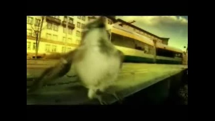 Каква Издържливост ! - Реклама На Liepzig Bird