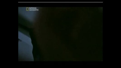 Apollo 13 - Критична Ситуация - Част 8.flv
