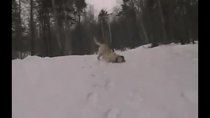 Ех големи фенове на снега 