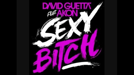 David Guetta feat. Akon - Sexy Bitch [hq]