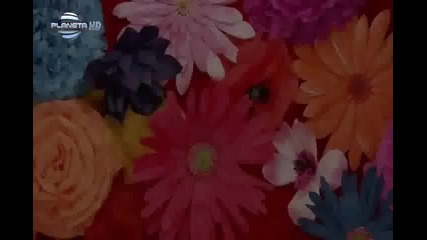 Анелия - Да ти викна ли такси Неофициално видео 2012