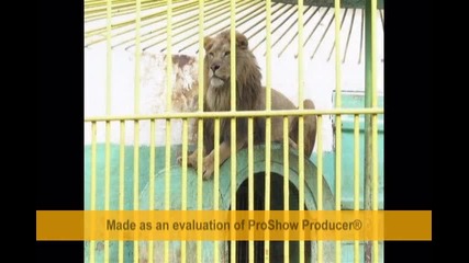 приятели 