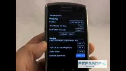 Blackberry Storm 