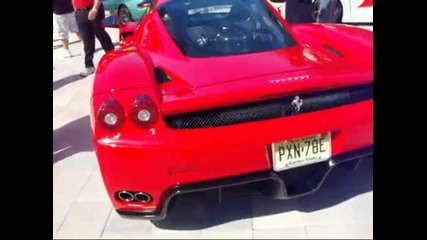 Ferrari Enzo 