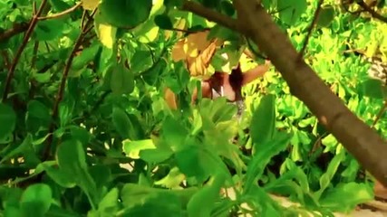 Alisia - Мистър Грешен