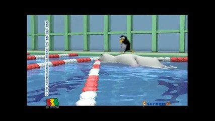 Bernard - Swimming