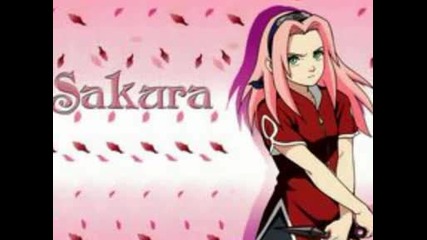 sakura and zane