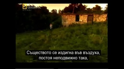 Is it real? - Чупакабра - National Geographic + Bg subs част 1/2