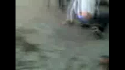 Бесни Колеги От Враца