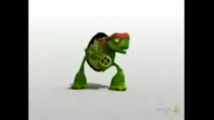 Dancing Turtle