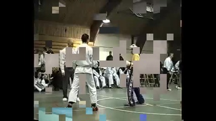 taekwondo vs capoeira 