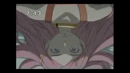 Anemone Tribute