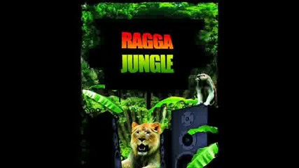 Ragga Jungle Tube Vol.8 Dj Kml 
