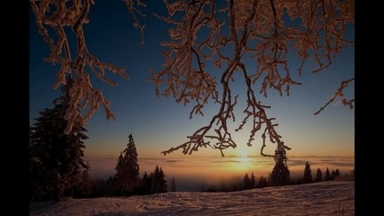Sybreed - In The Cold Light
