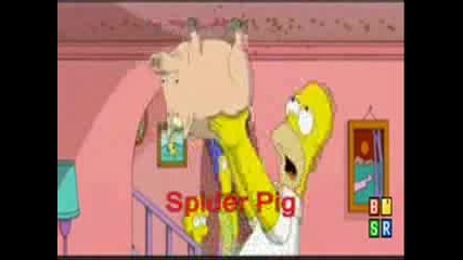 Homer - Spider Pig Song