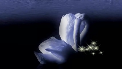 Camille Saint-saеns ... ... Dance of Nature ... ...
