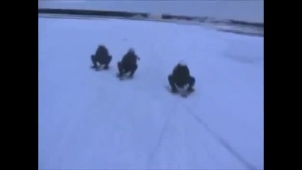 Как руснаците карат шейна